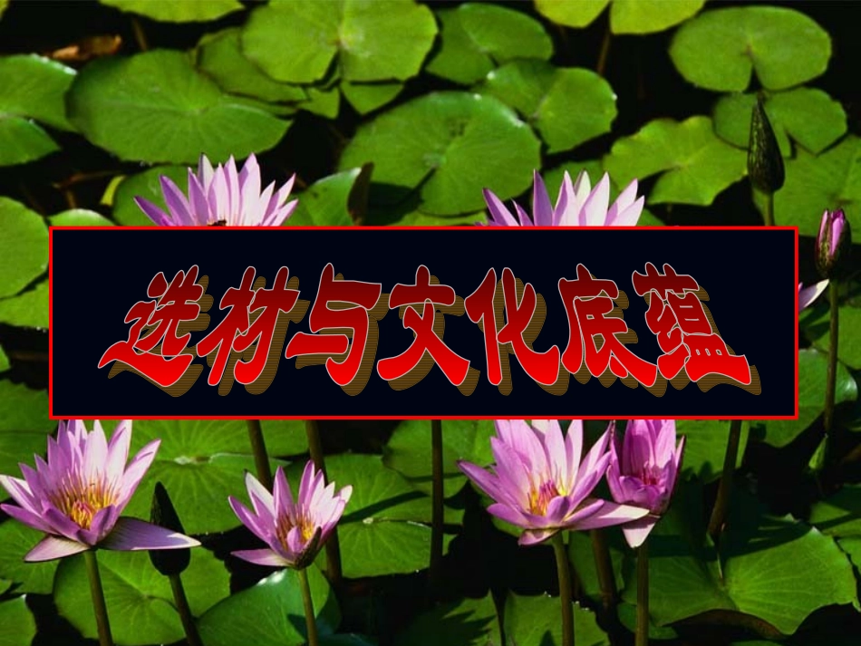 选材与文化底蕴_第2页
