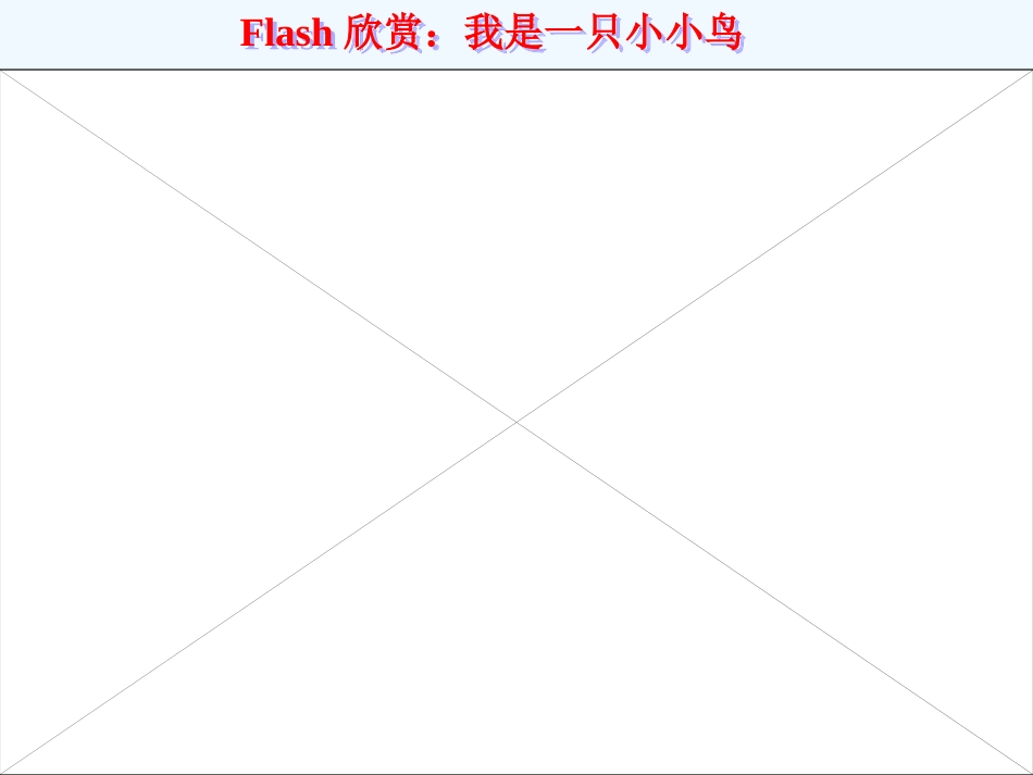 七年级语文下册《保护野生动物》优秀实用课件 苏教版_第1页