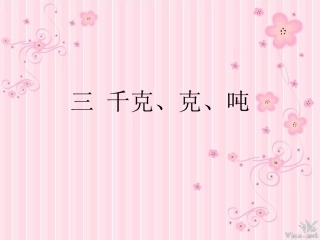 千克、克、吨 (2)