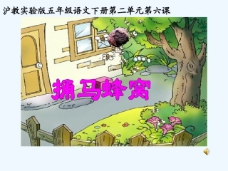 七年级语文上册 《捅马蜂窝》课件 鄂教版