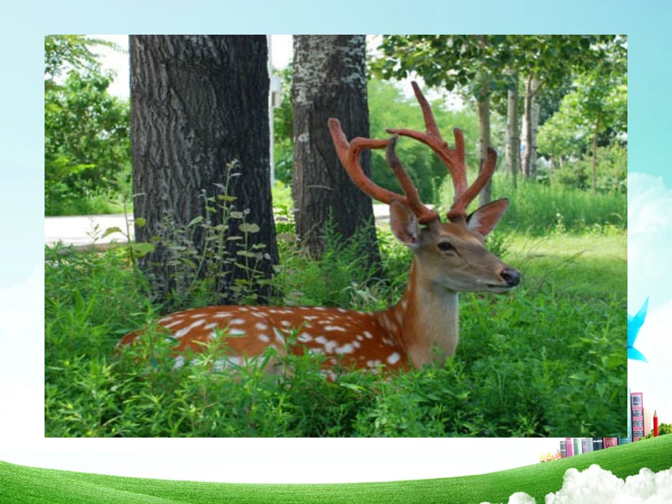 三年级-第七单元-狮子和鹿 (2)_第2页