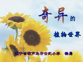 奇异的植物世界 (2)