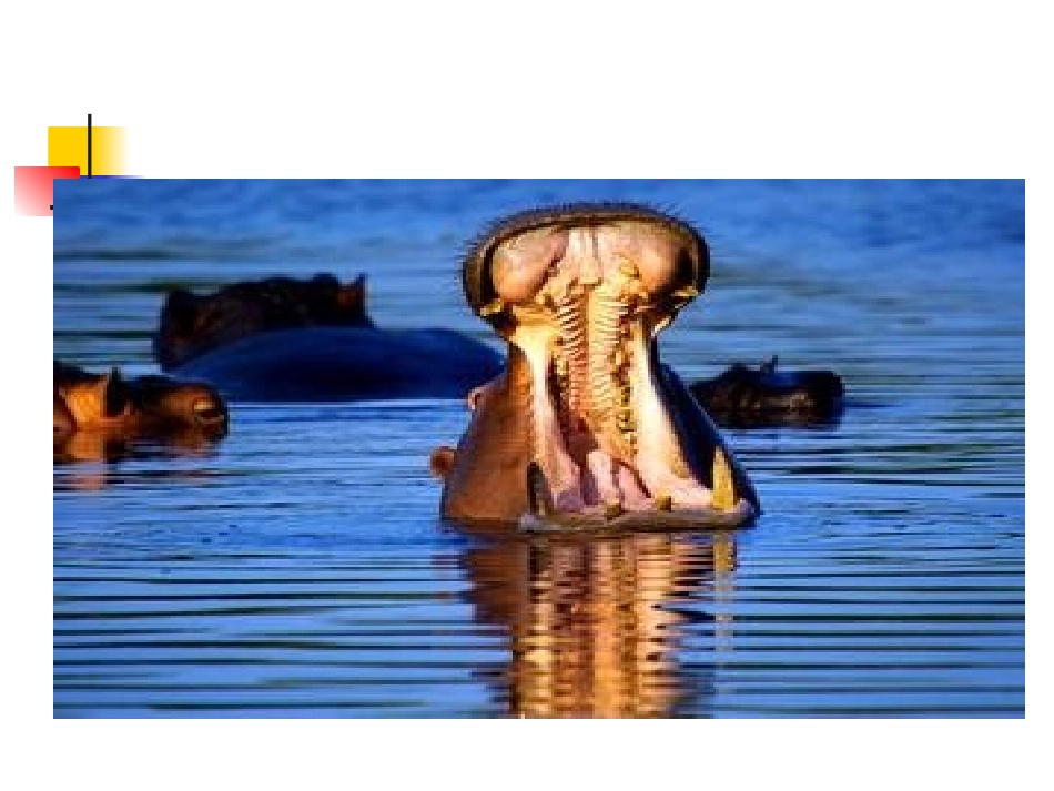 人教把地理七下83《撒哈拉以南非洲》教学课件（共32张PPT）_第3页