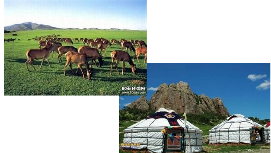 五年级下册草原_第1页