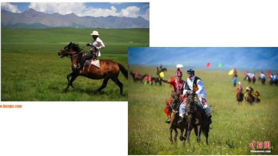 五年级下册草原_第2页