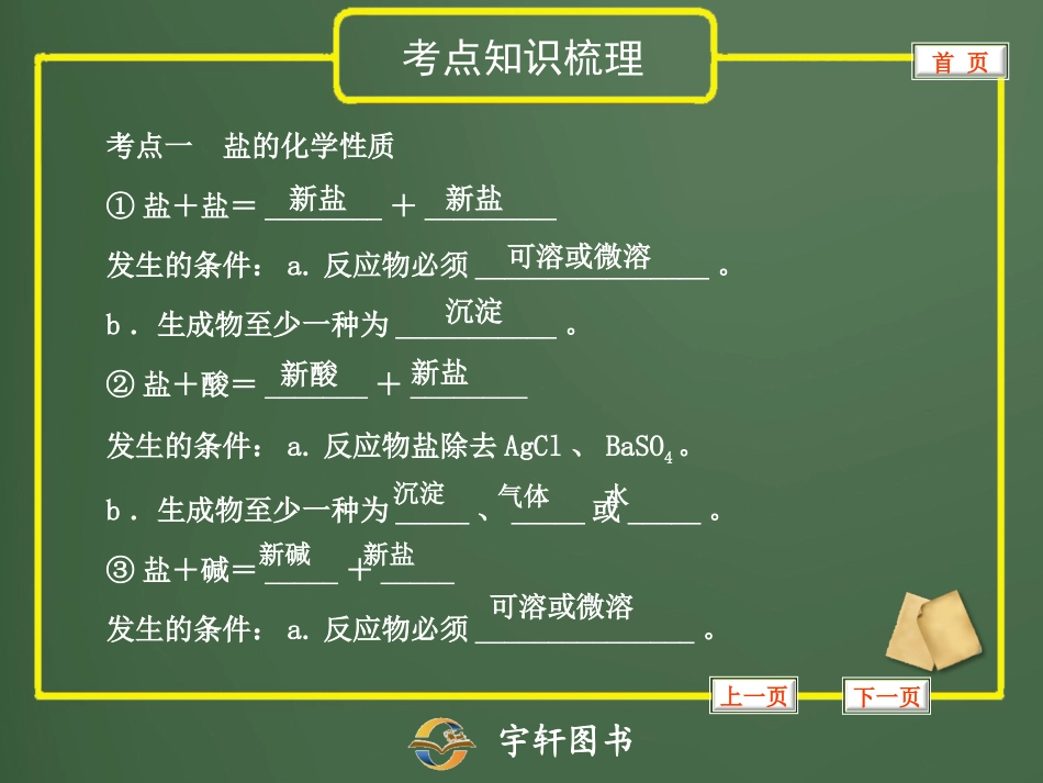 专题13盐的化学性质和复分解反应_第2页