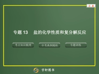 专题13盐的化学性质和复分解反应