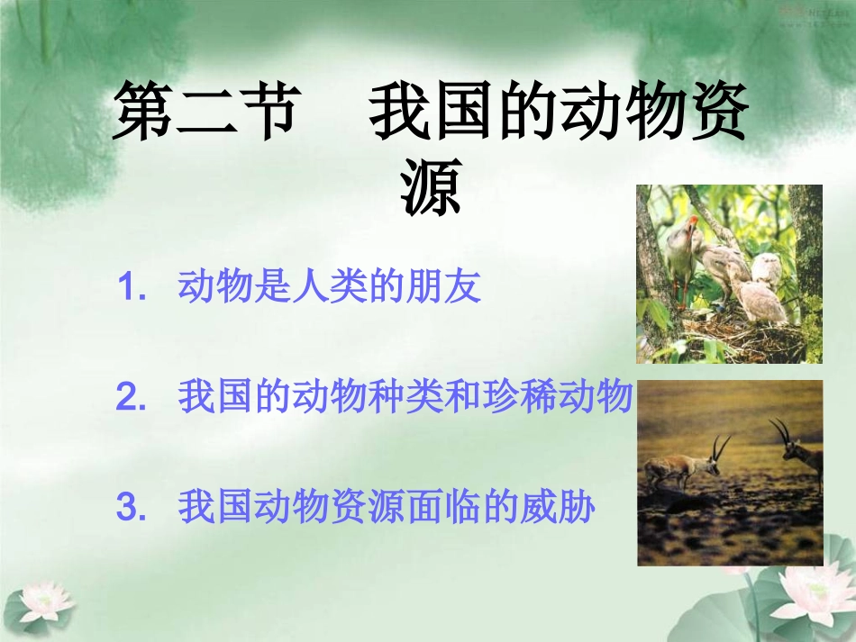 我国的动物资源_第1页
