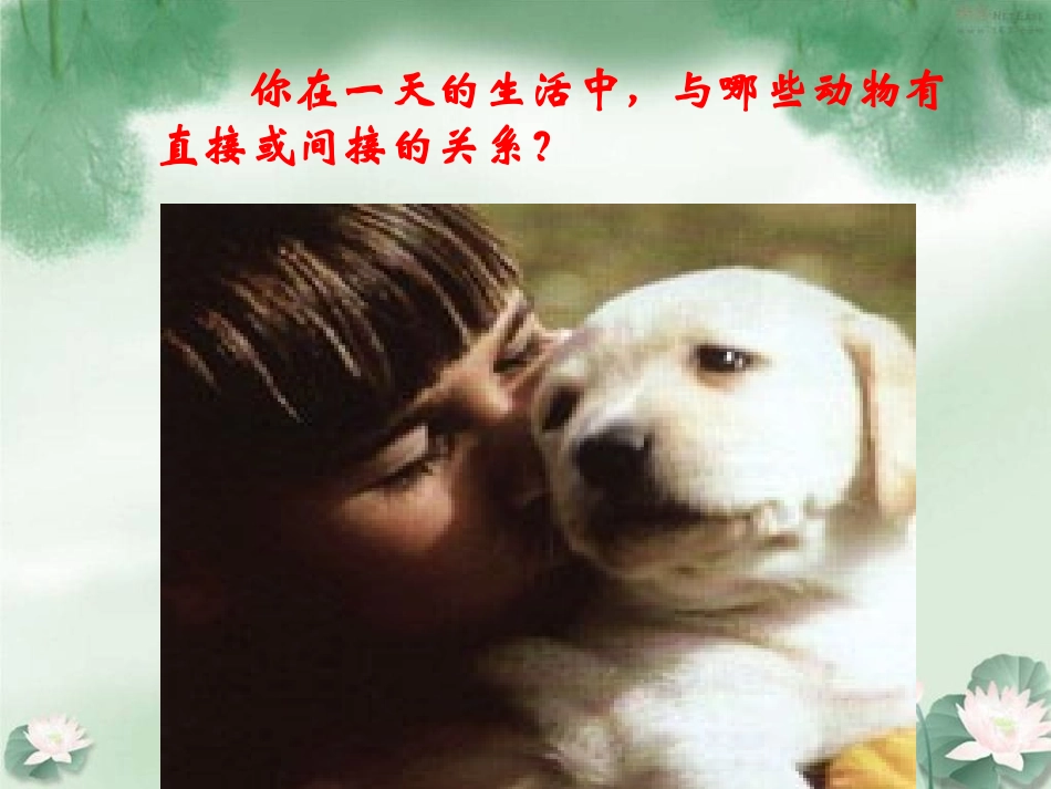 我国的动物资源_第2页