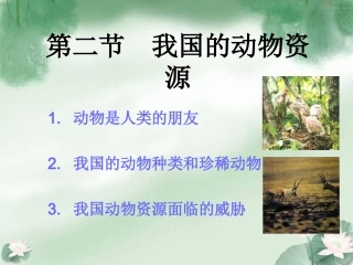 我国的动物资源