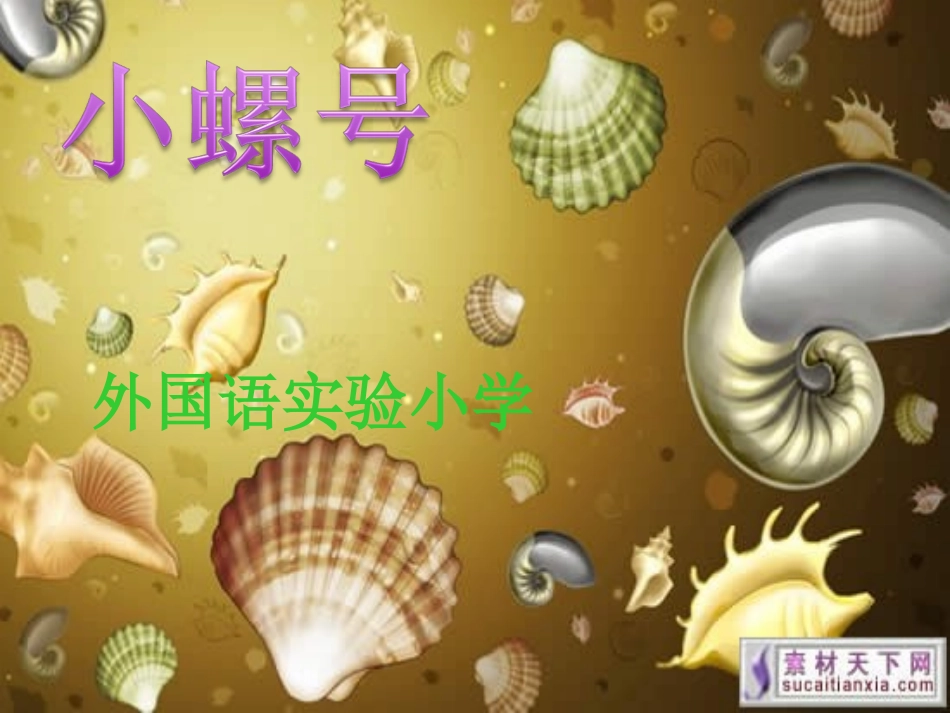 小螺号课件 (2)_第1页