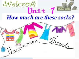 七上Unit7SA赛课修订