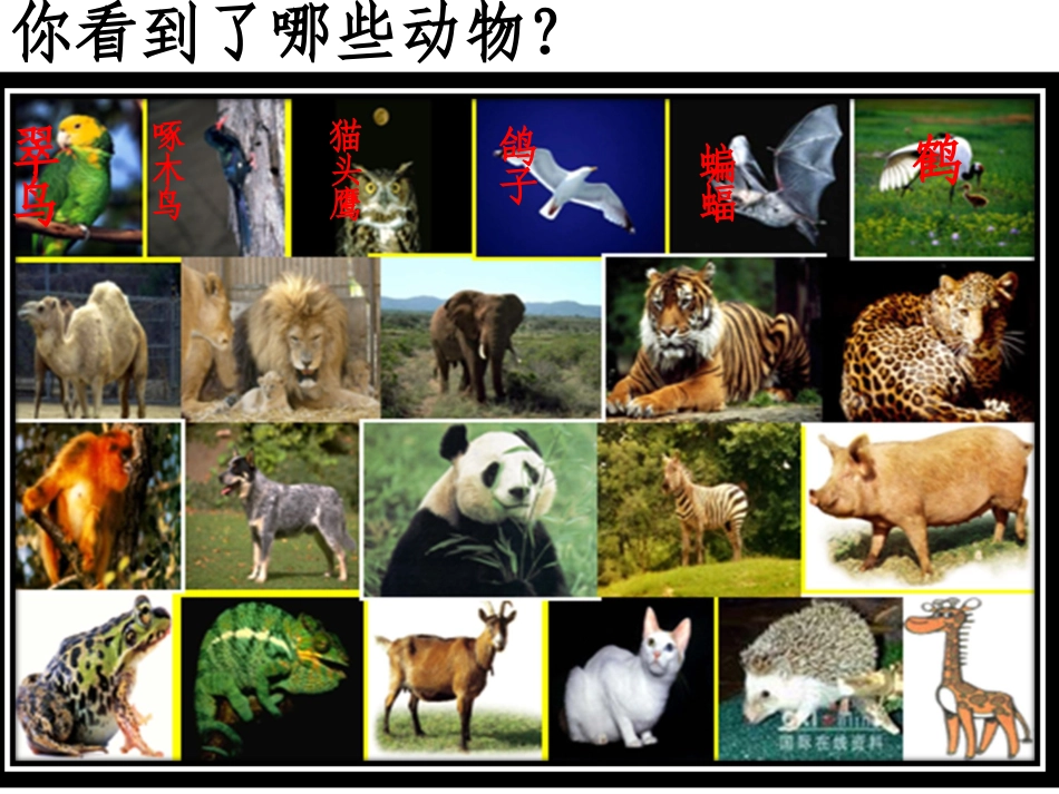 狮子和鹿5年级_第3页