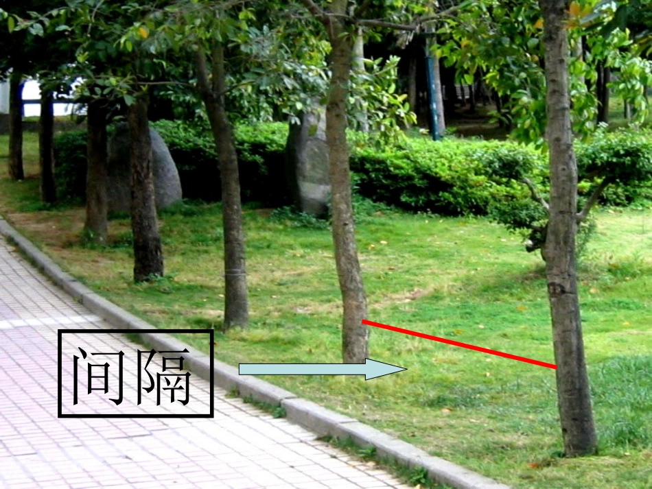 植树问题精华版_第3页