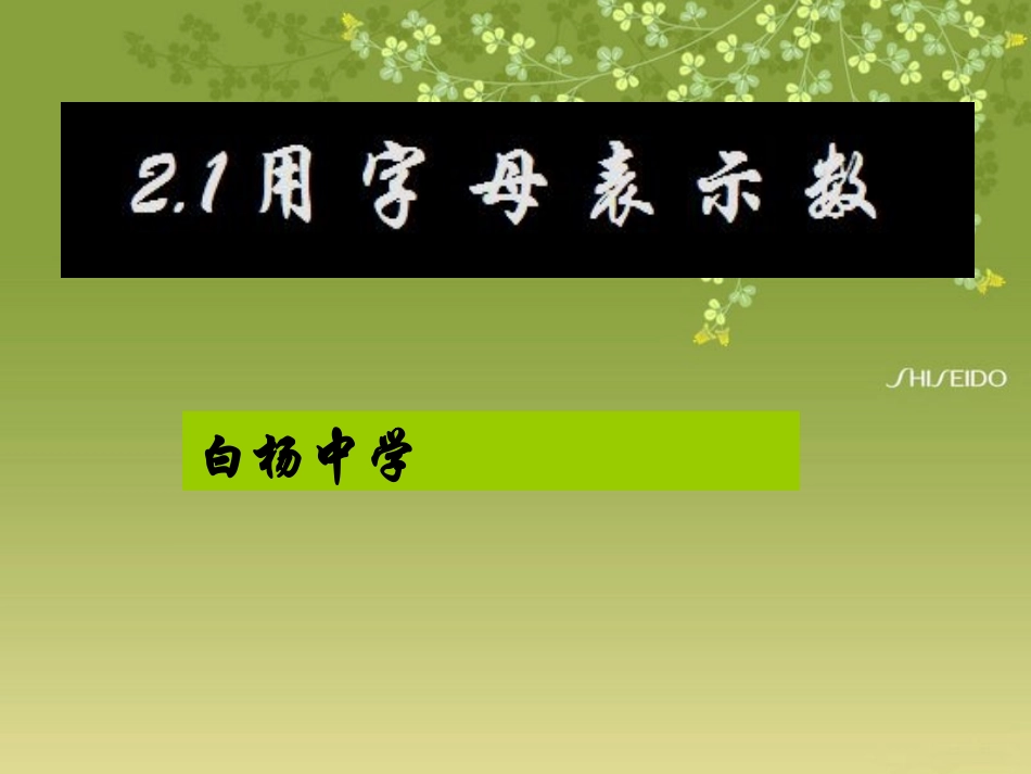 用字母表示数(_第1页