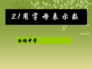 用字母表示数(