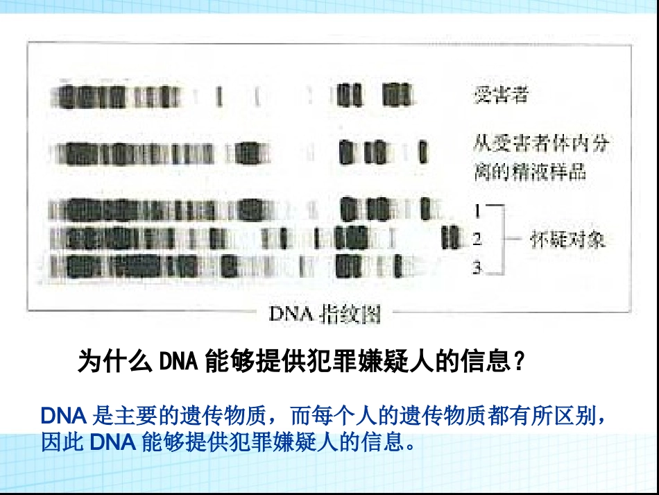 人教版生物必修一23《遗传信息的携带者---核酸》课件（共36张PPT）_第3页