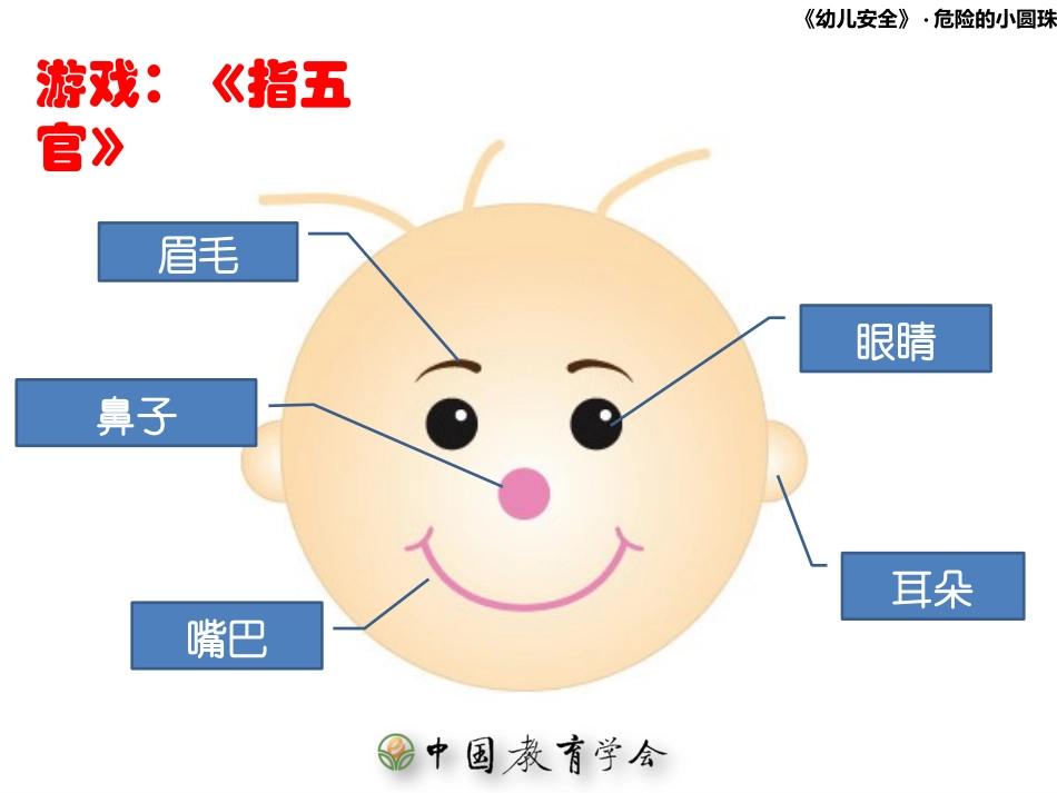 危险的小圆珠_第2页