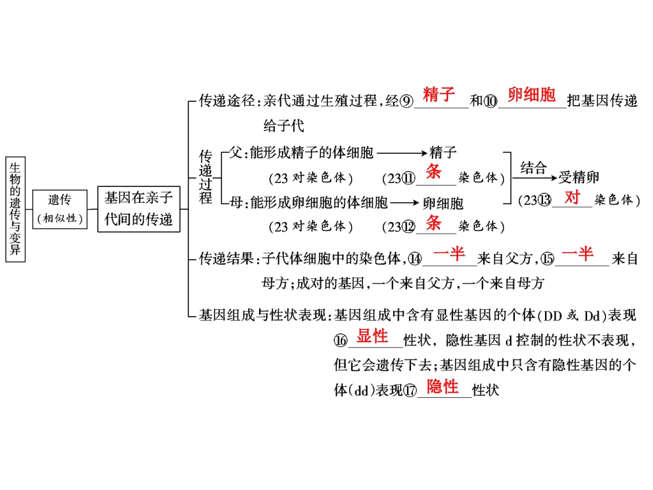 中考生物学专题知识整合·专题七生物的遗传、变异与进化_第3页