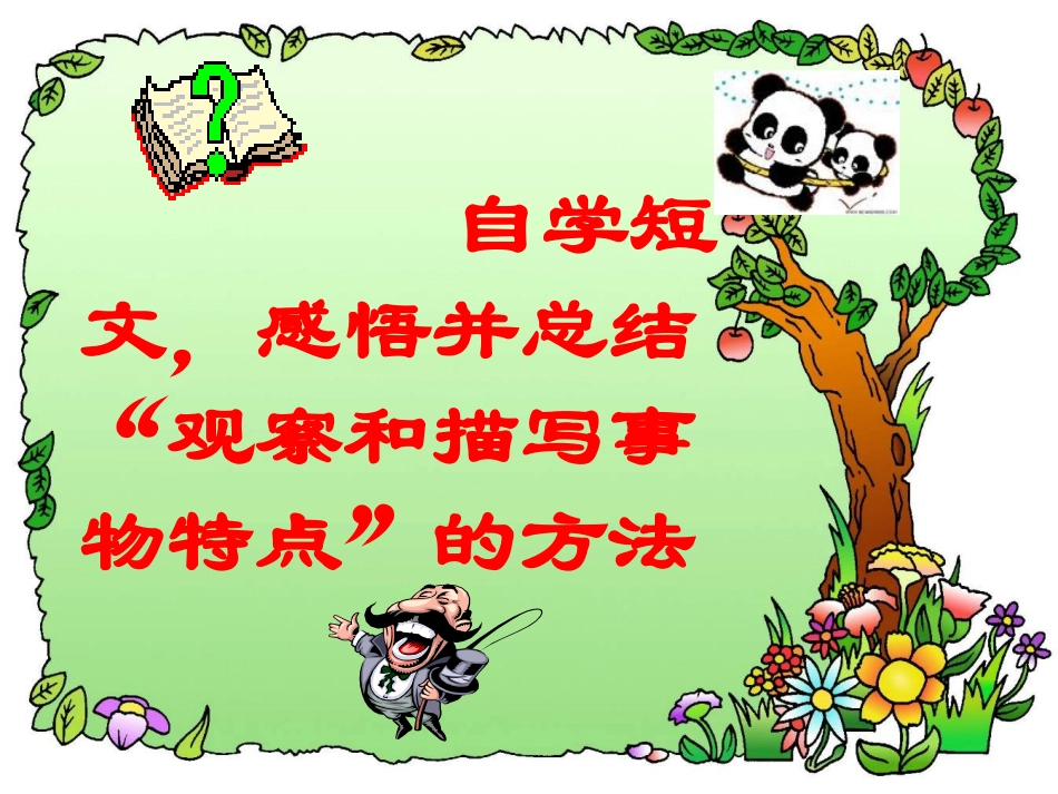 七年级语文下册《观察和描写事物特点》优秀实用课件 苏教版_第3页