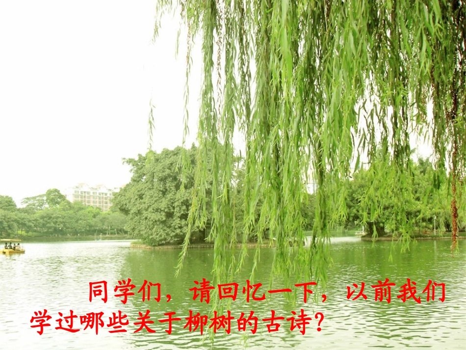 苏教版十一册15青海高原一株柳_第1页