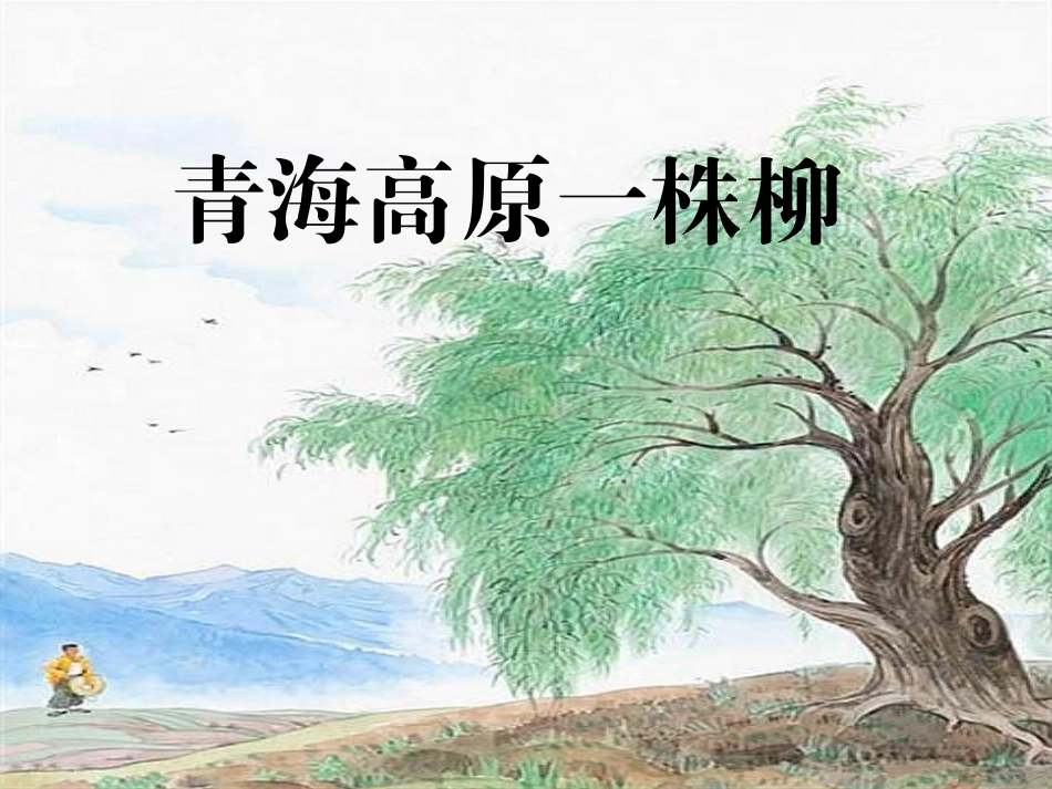 苏教版十一册15青海高原一株柳_第3页