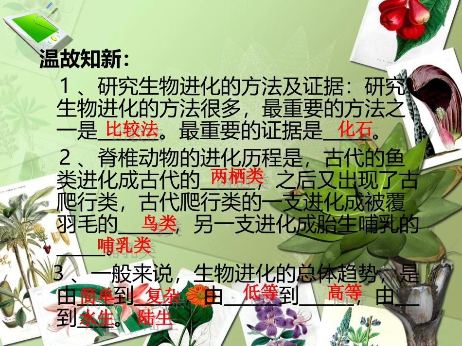 生物进化的原因_第1页