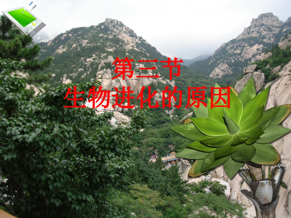 生物进化的原因_第2页