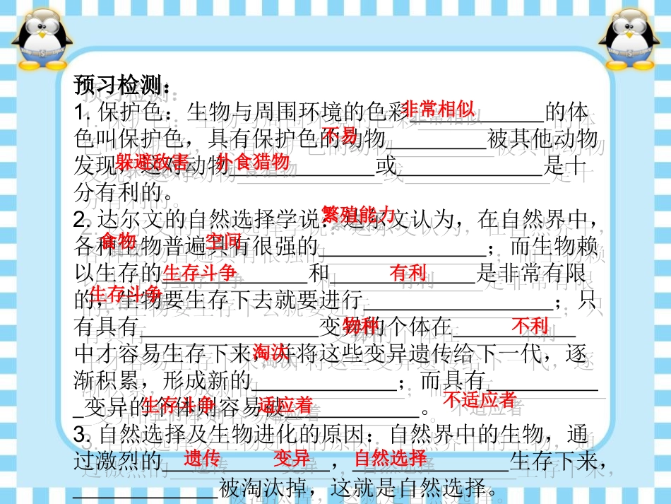 生物进化的原因_第3页
