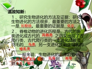 生物进化的原因