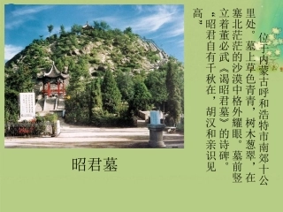 七年级历史上册第三单元第14课匈奴的兴起及与汉朝的和战课件（新版）新人教版