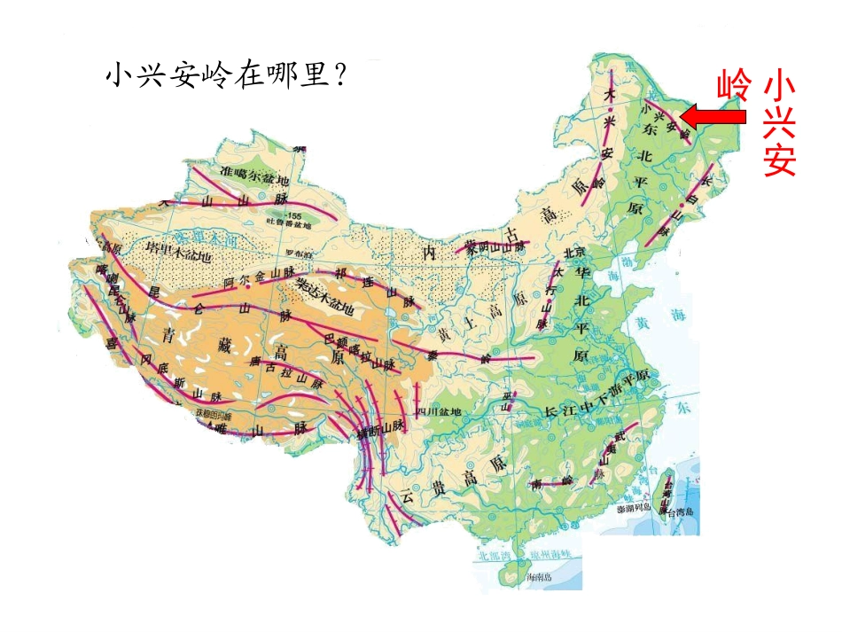 人教版三年级语文上册第23课《美丽的小兴安岭》PPT课件_第2页