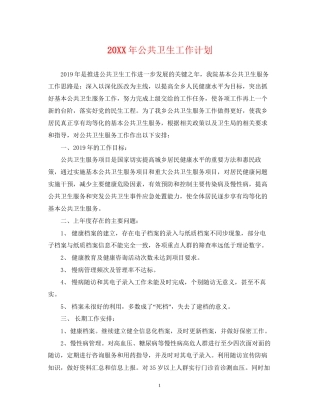 公共卫生工作计划22