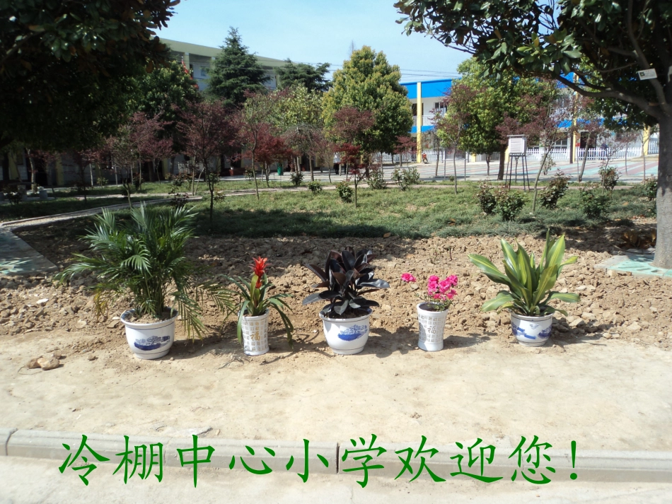 平面图形的周长和面积_第1页