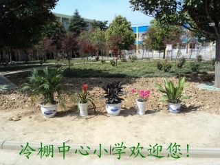 平面图形的周长和面积