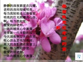 一株紫丁香正式