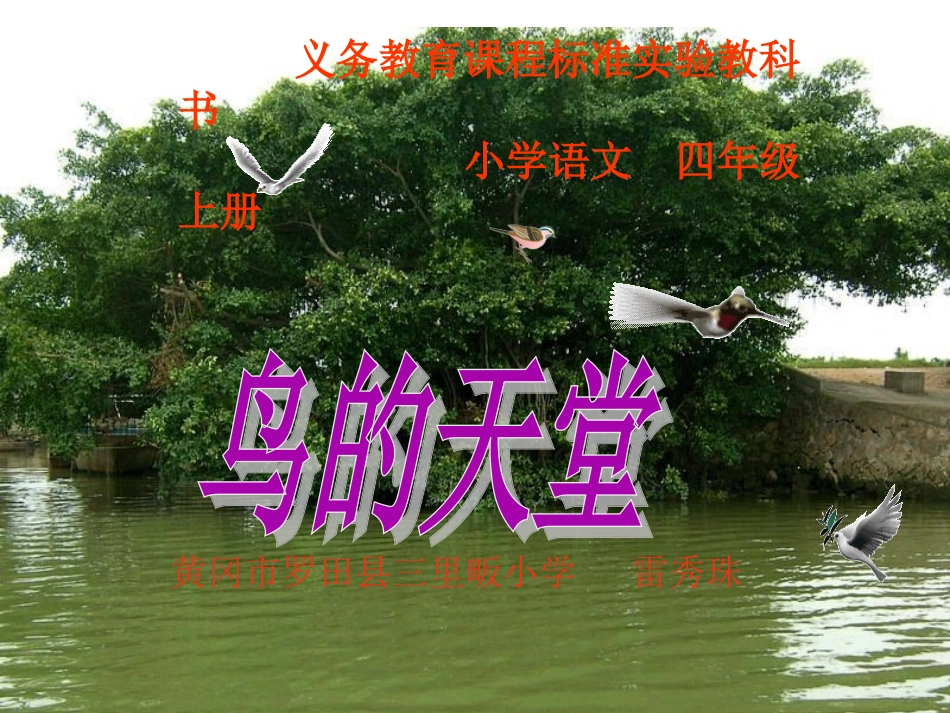 鸟的天堂课件湖北罗田县雷秀珠_第1页