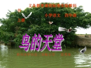 鸟的天堂课件湖北罗田县雷秀珠