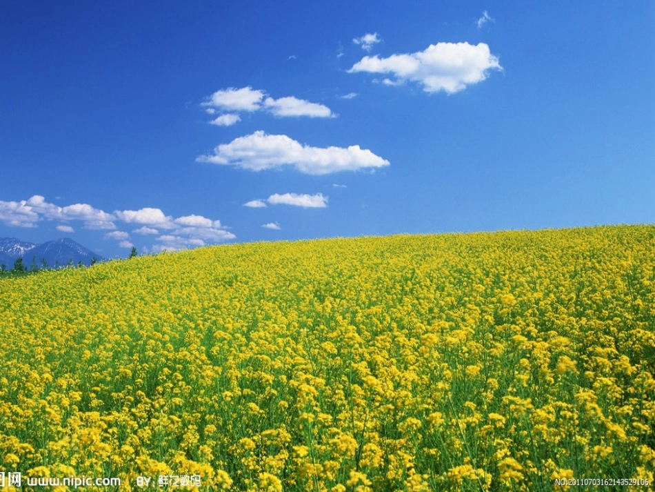 我和春天一起玩_第2页