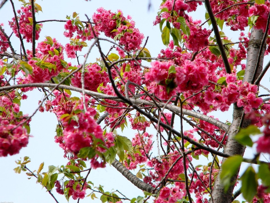 我和春天一起玩_第3页