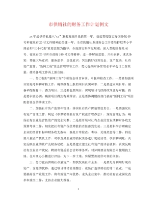 市供销社的财务工作计划例文