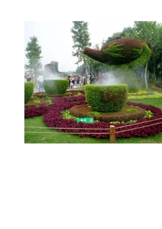 园林植物造景
