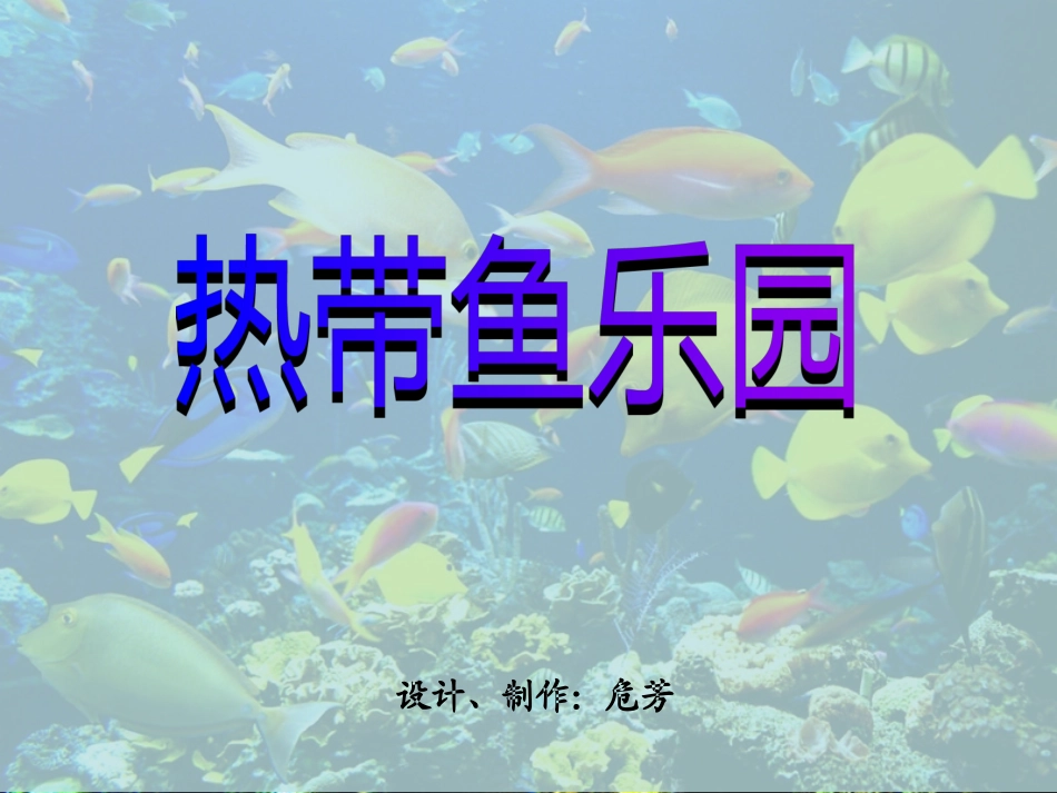 美丽的热带鱼_第2页