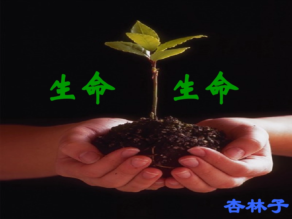 生命生命 (3)_第1页