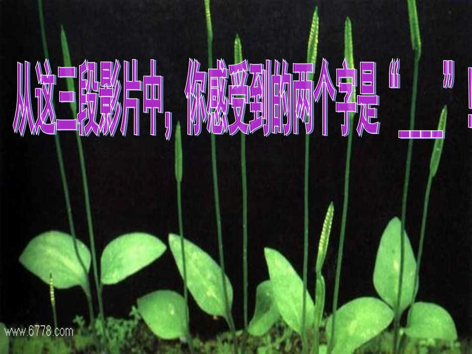生命生命 (3)_第3页