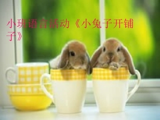 小兔子开铺子