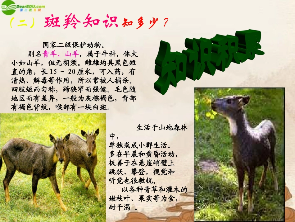 七年级语文下册 第27课《斑羚飞渡》课件人教新课标版_第3页