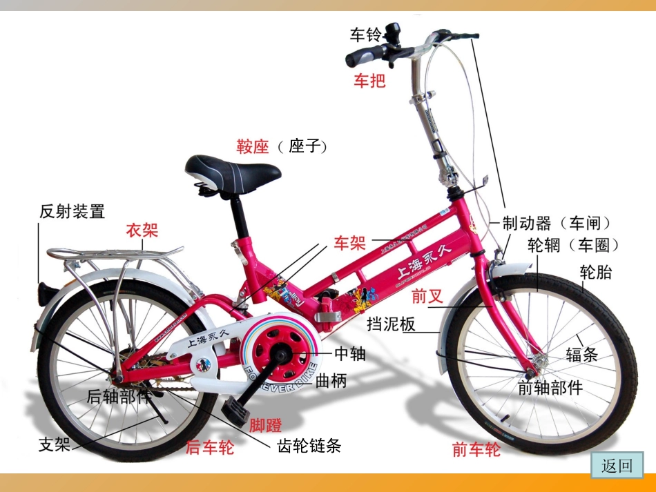 三年级下册11课一路轻骑_第3页