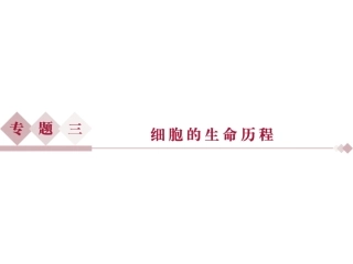 专题31细胞的增殖和受精作用