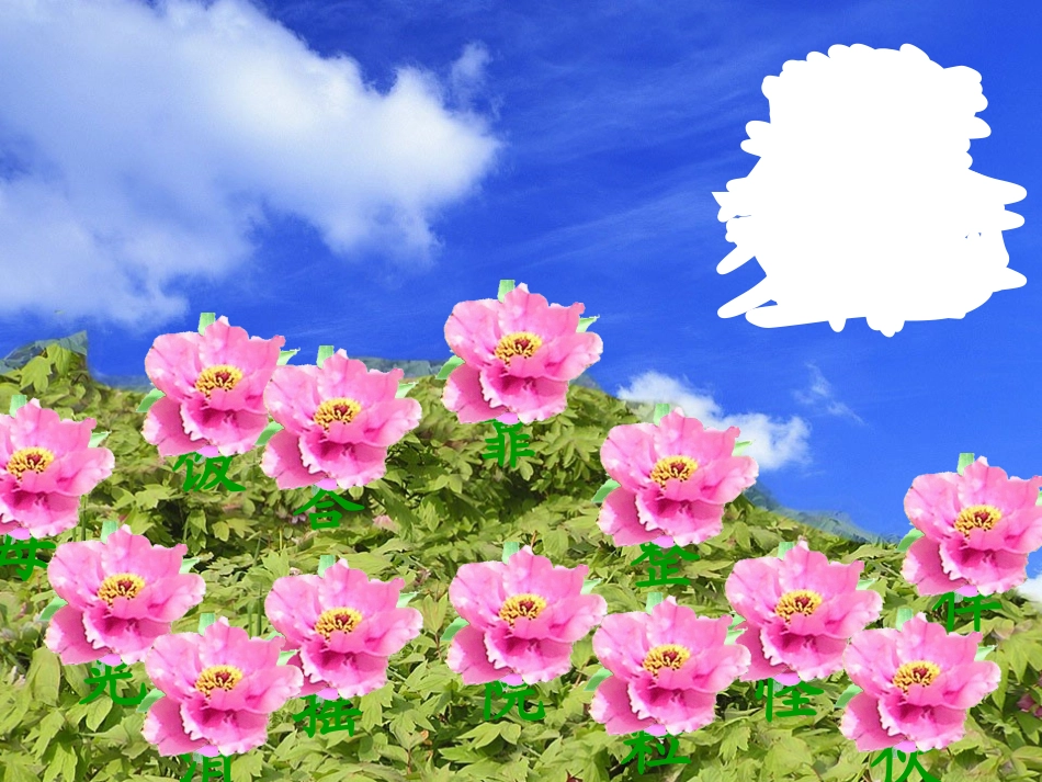 一年级语文下册《小鸭子的问号》PPT课件之一（西师大版）_第2页